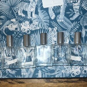 Set of 5 Clear Glass Travel Perfume Atomizers with Silver Caps